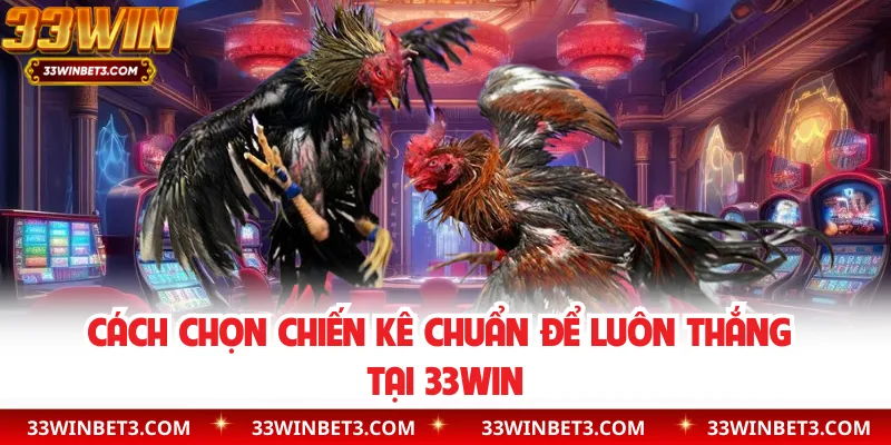 Cách chọn chiến kê chuẩn để luôn thắng tại 33WIN