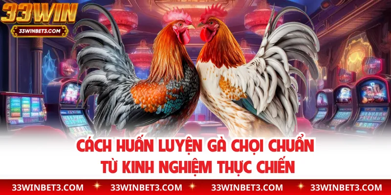 Cách Huấn Luyện Gà Chọi Chuẩn Từ Kinh Nghiệm Thực Chiến