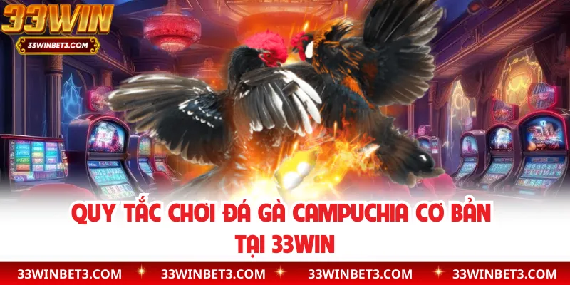 Quy tắc chơi đá gà Campuchia cơ bản tại 33WIN